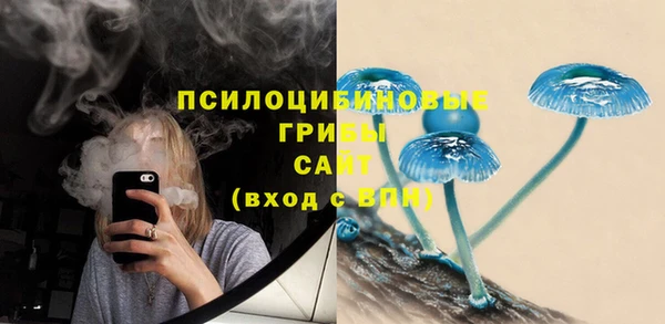 крисы Баксан