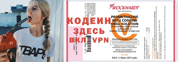 крисы Баксан