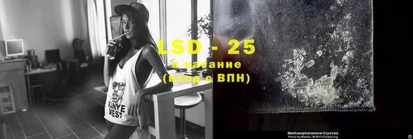 крисы Баксан