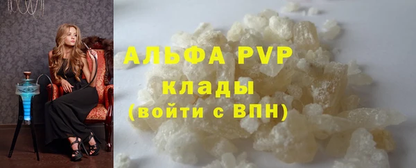 крисы Баксан