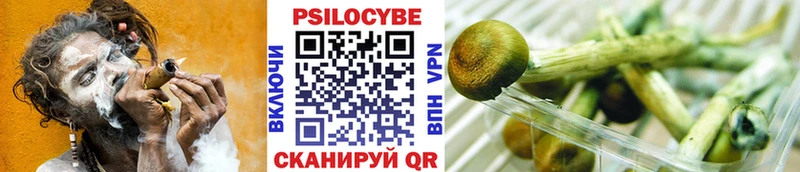 Псилоцибиновые грибы MAGIC MUSHROOMS Юрьев-Польский